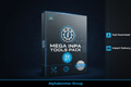 Digital product box for 'Mega Inpa Tools Pack 22 in 1' by Alphabimmer Group, shown on a dark blue background with 'Fast Download' and 'Instant Delivery' callouts. INPA, NCS, WINKFP, ITOOL RADAR